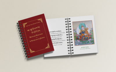 New publications by Wisdom Treasury